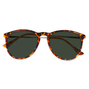 Southern Seas Brandon Tinted Distance Glasses Eyewear