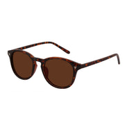 Southern Seas Hereford Tinted Brown Distance Glasses