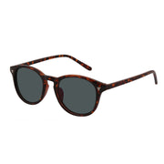 Southern Seas Hereford Tinted Grey Reading Sunglasses