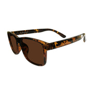 One Pair of Southern Seas New York Tinted Brown Distance Glasses
