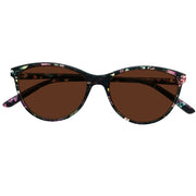 Southern Seas Chepstow Tinted Brown Distance Glasses